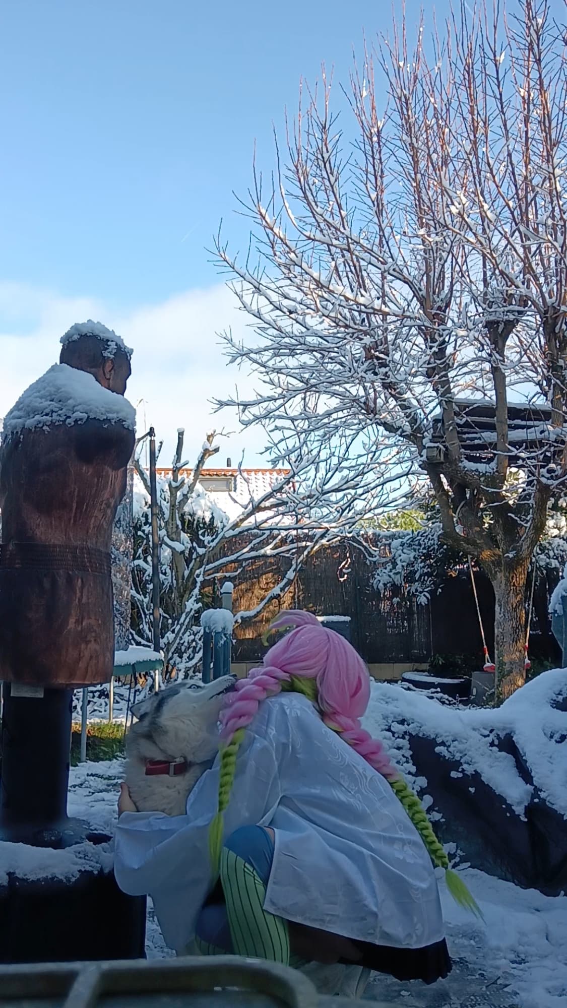 Mitsuri Kanroji - Photo 19