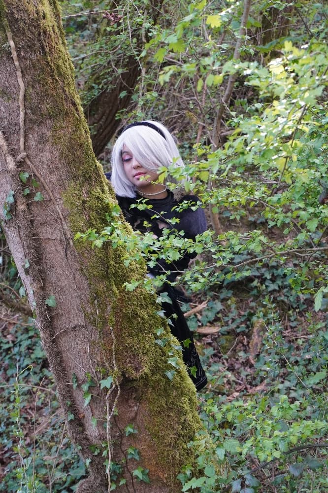 2B - Photo 27
