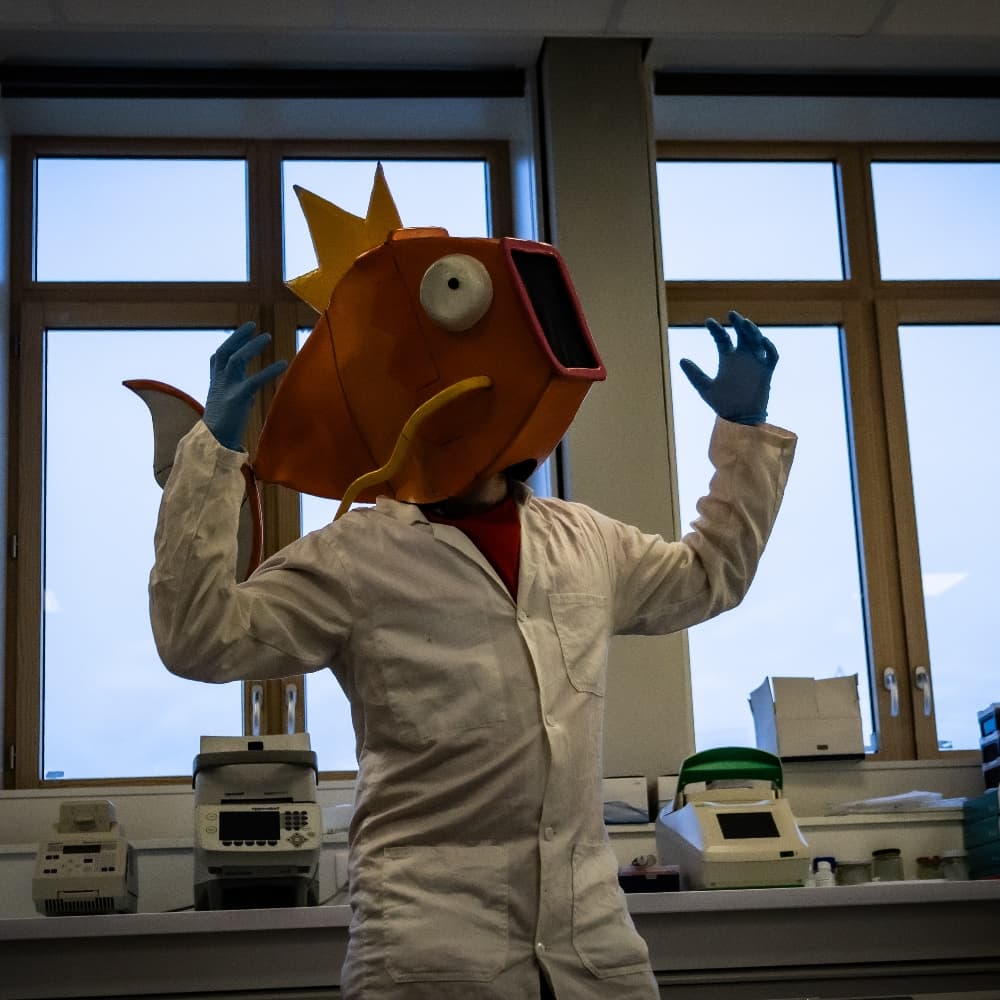 Professor Magicarpe 