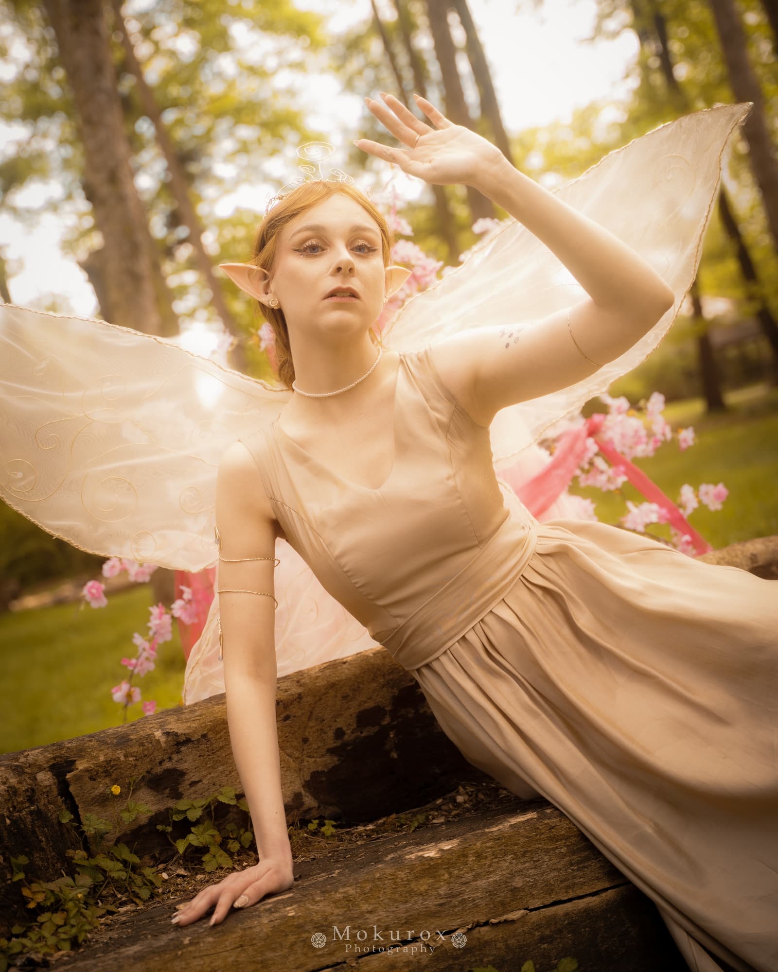 Reine Clarion - Photo 3