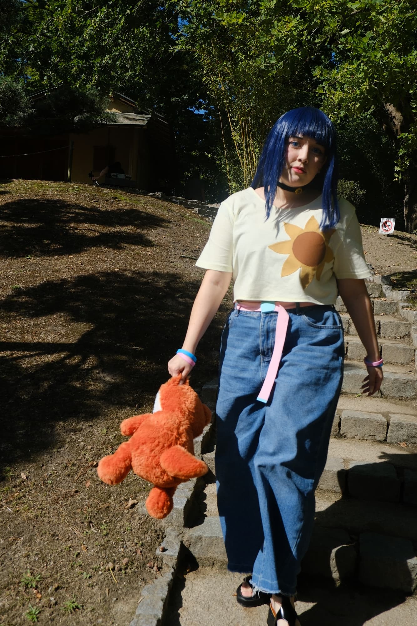 Himawari  - Photo 21