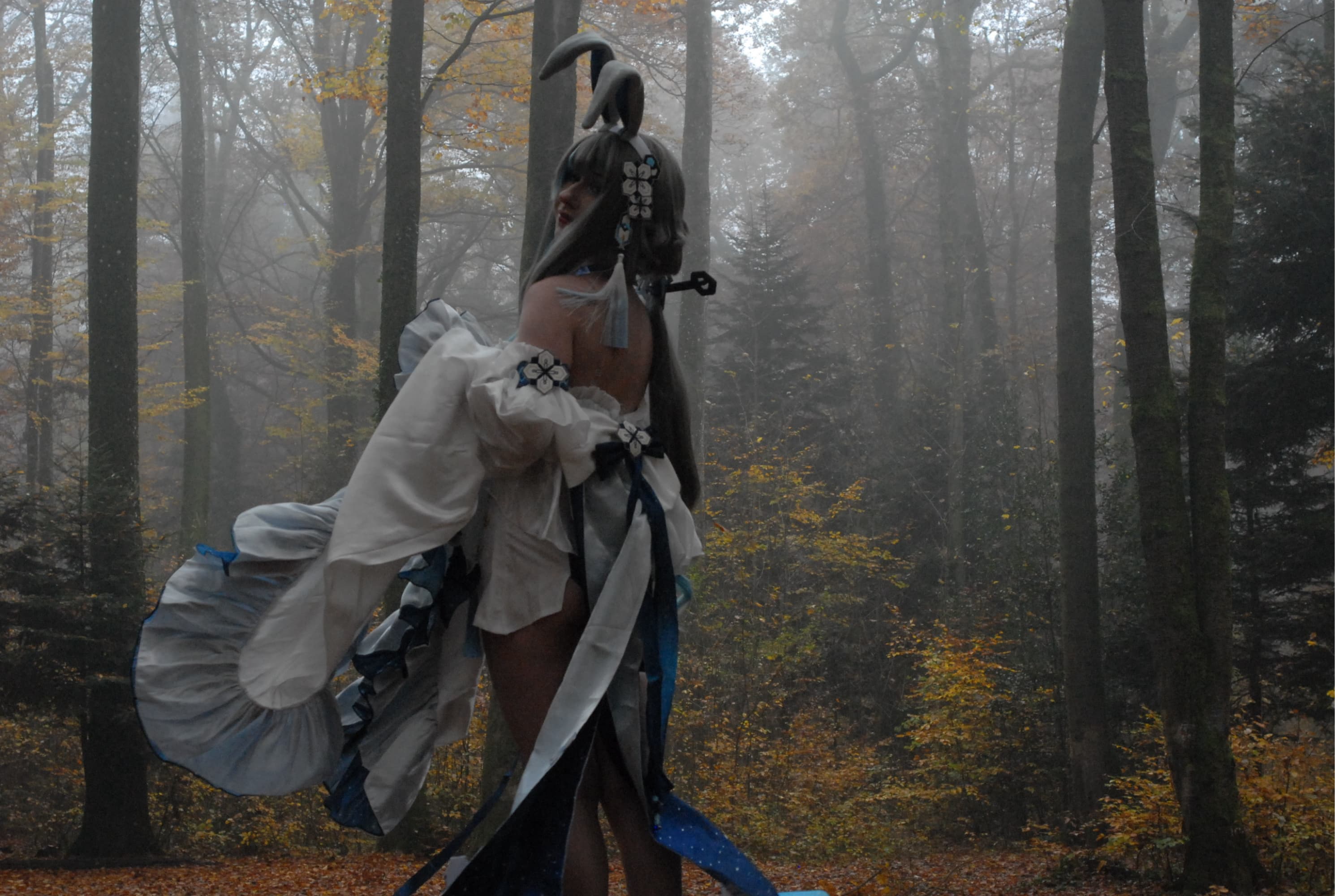 Guizhong Bunny - Photo 5