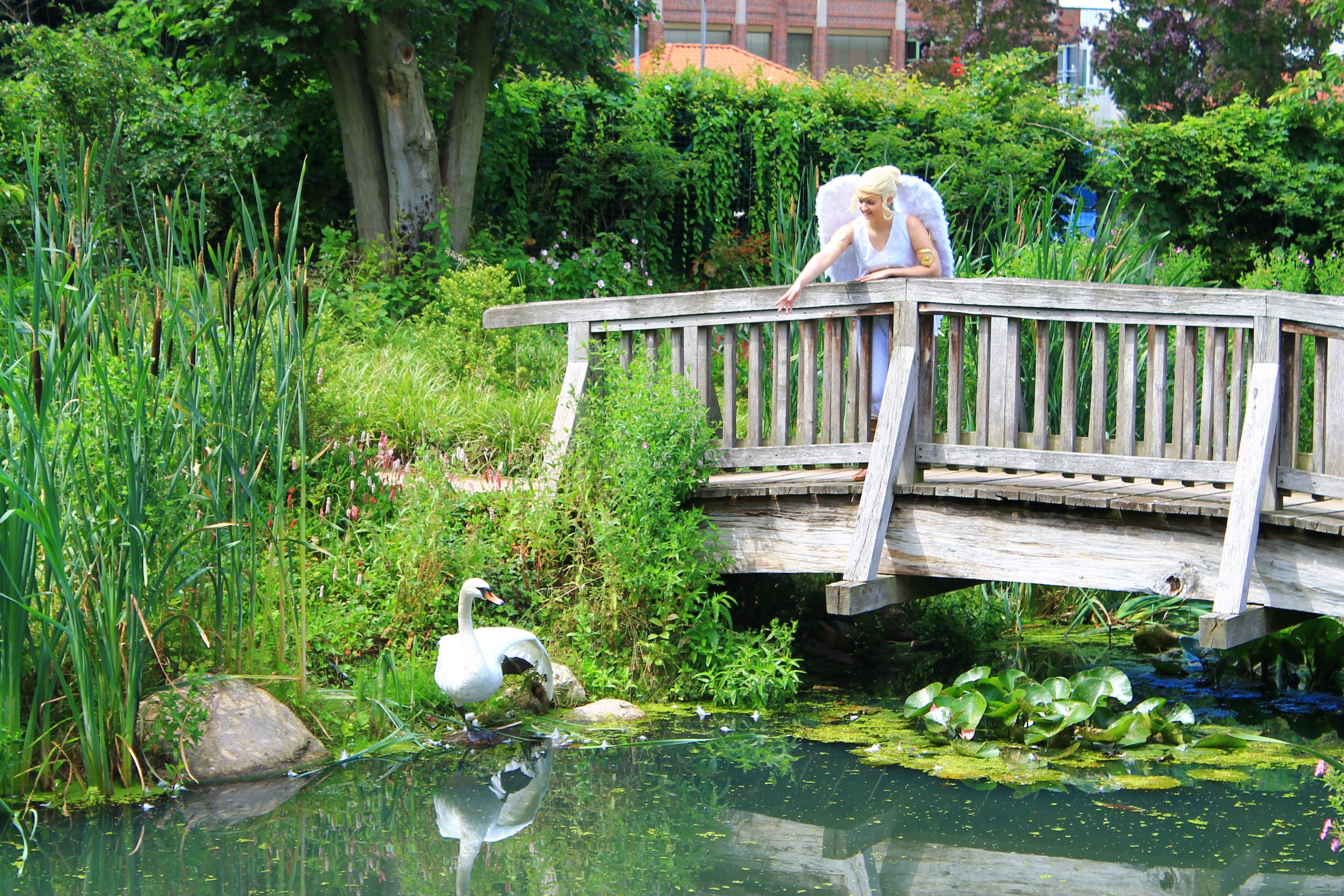 Angel (Tekken 2) - Photo 10