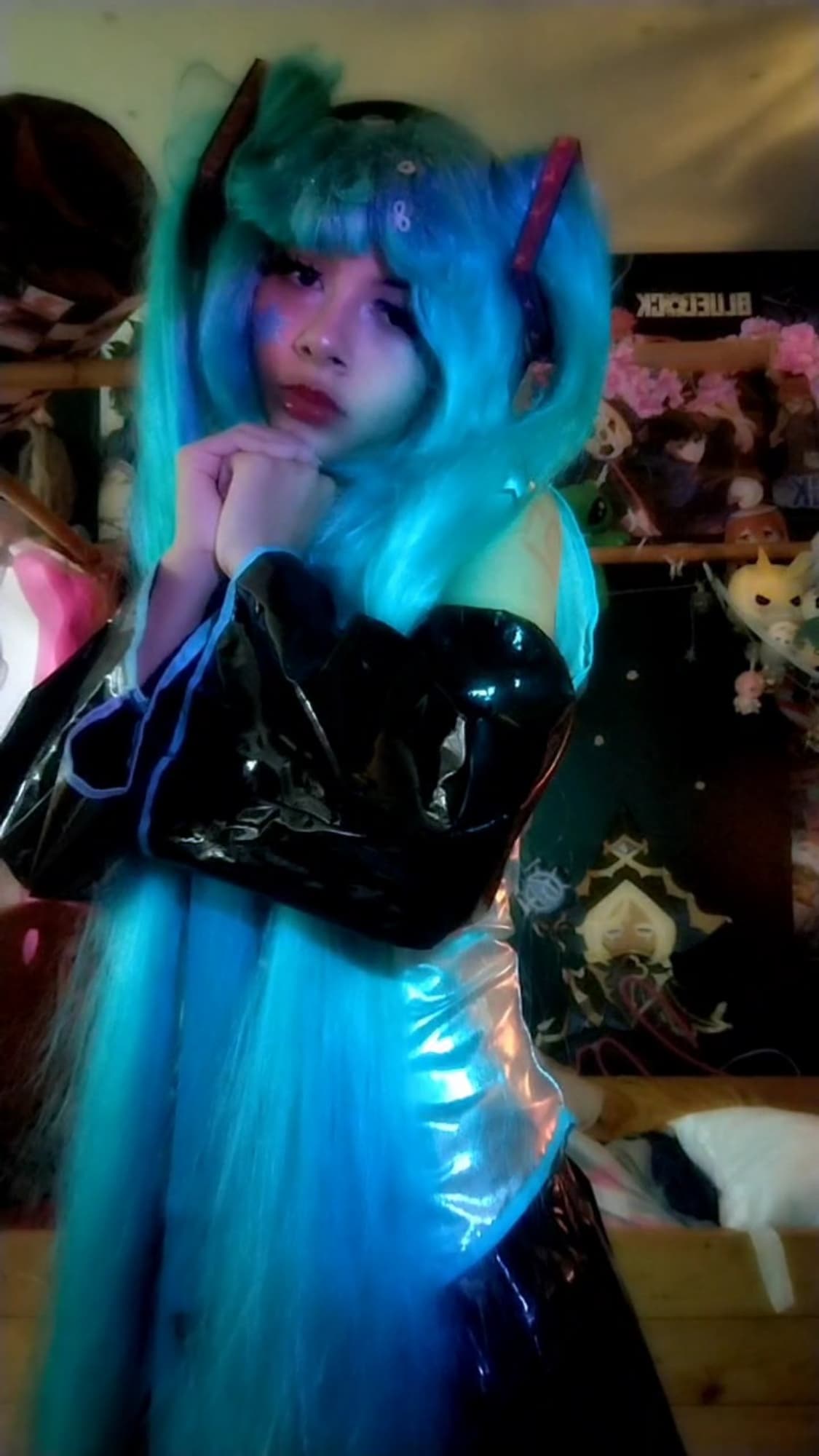 Miku - Photo 13