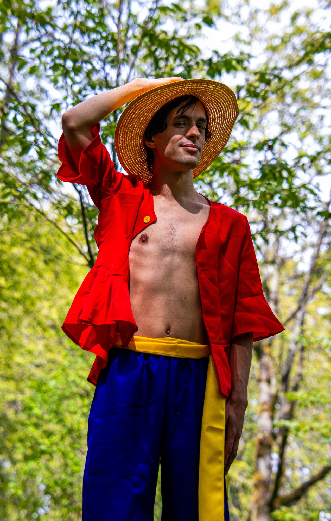 Monkey D Luffy - Photo 7