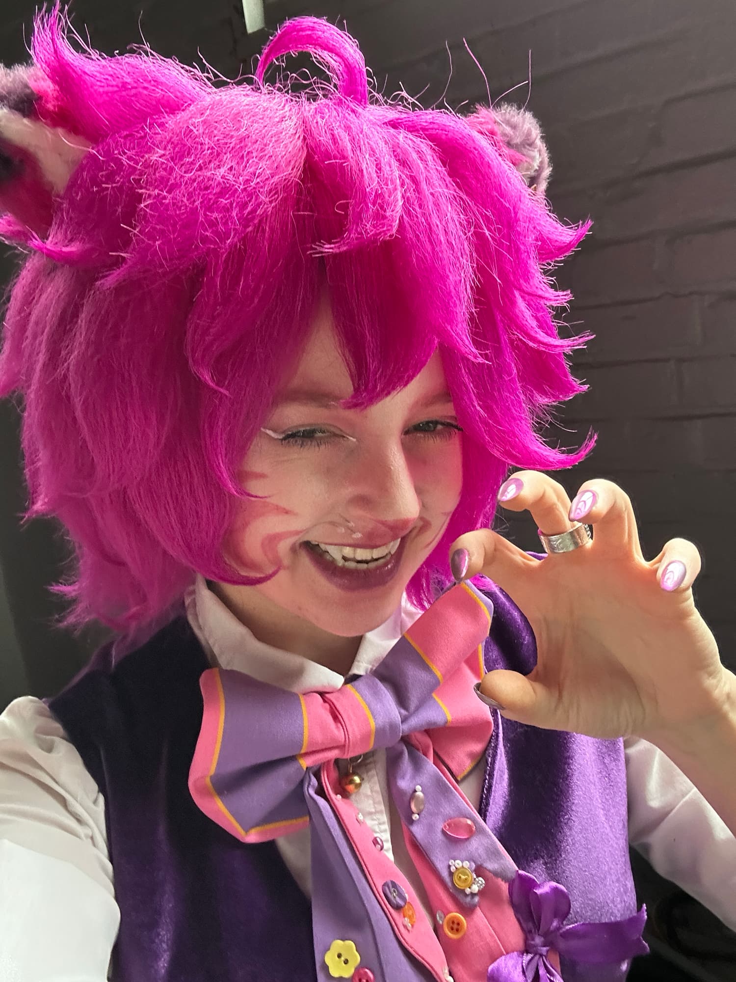 Chat de Cheshire - Photo 4