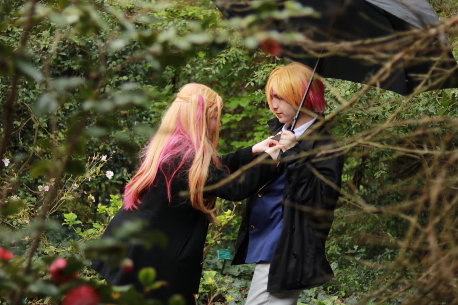 Aqua Hoshino  - Photo 2