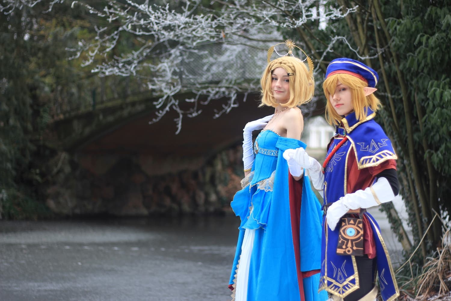 Link royal guard - Photo 2