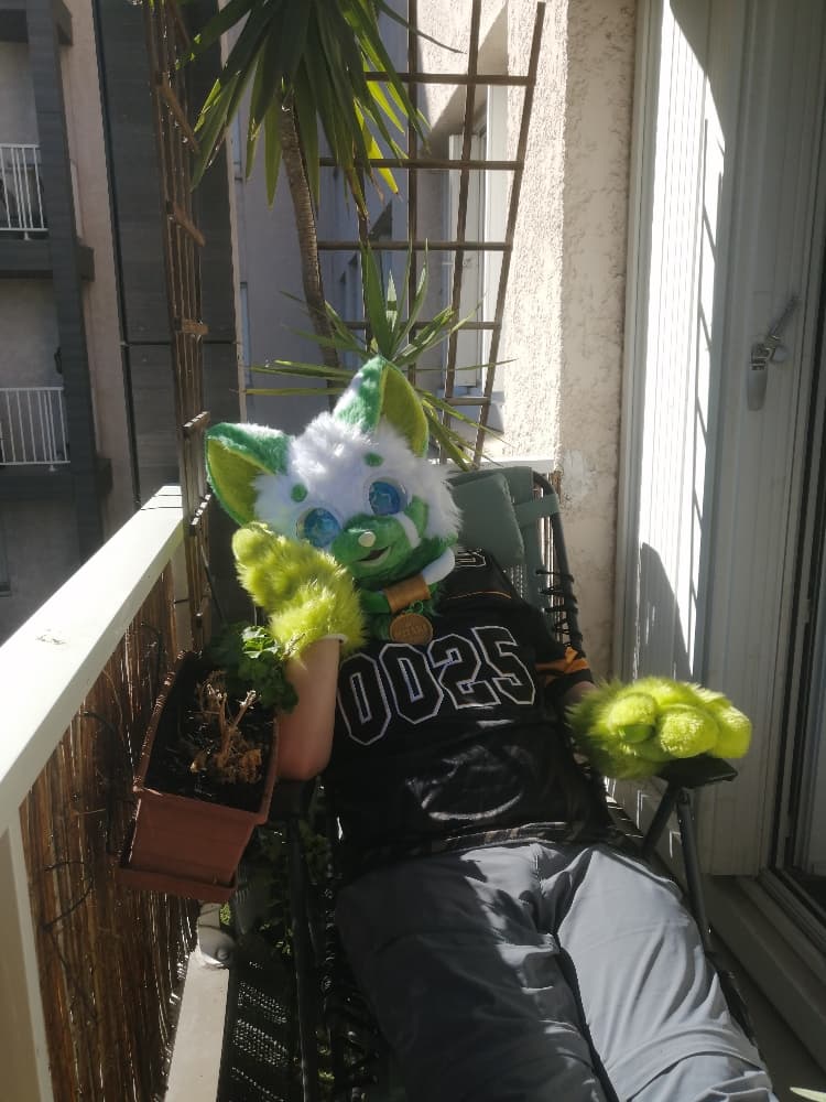 Ewie in misaki  - Photo 4