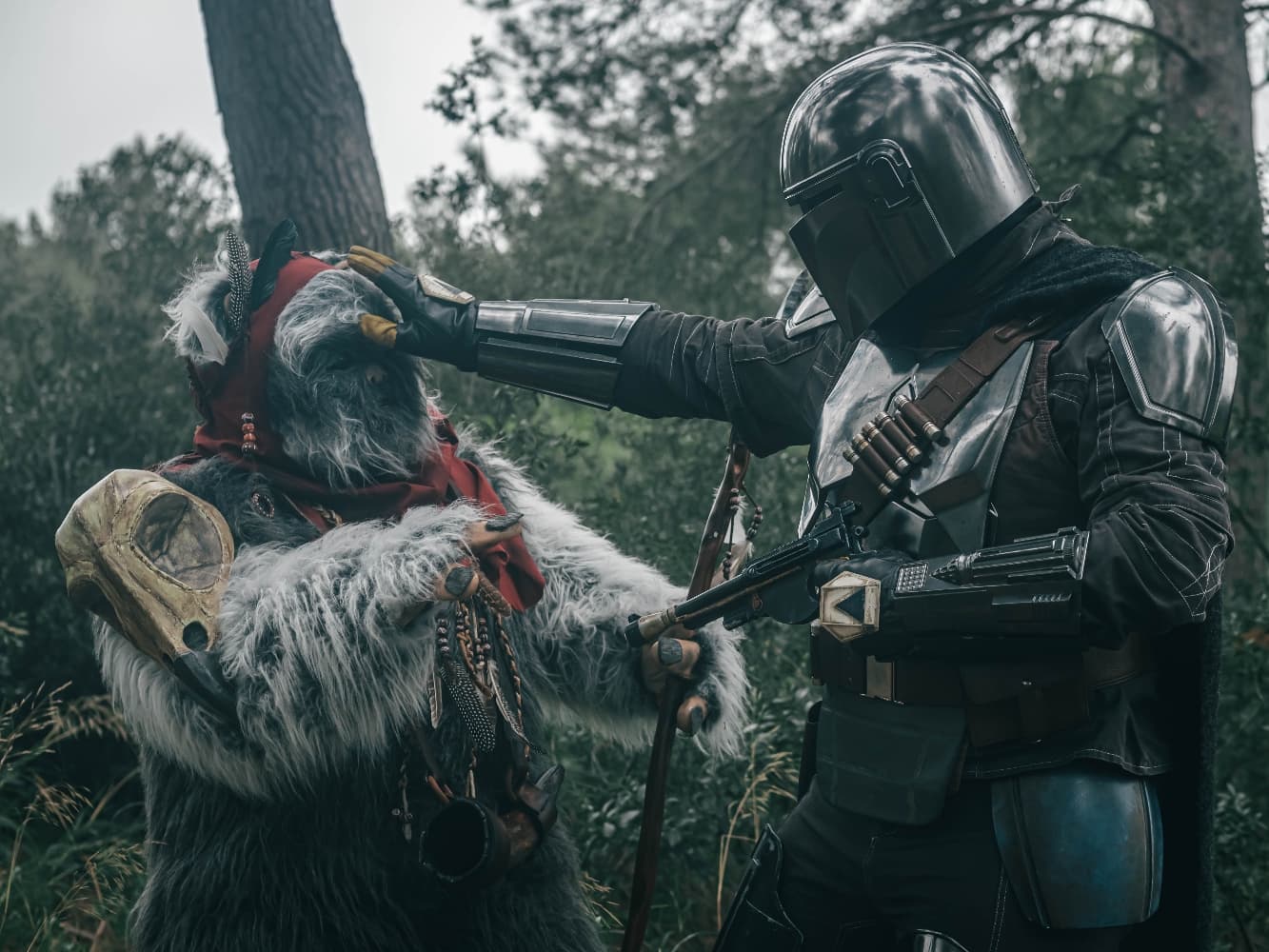 Forest Shooting - Photo 12