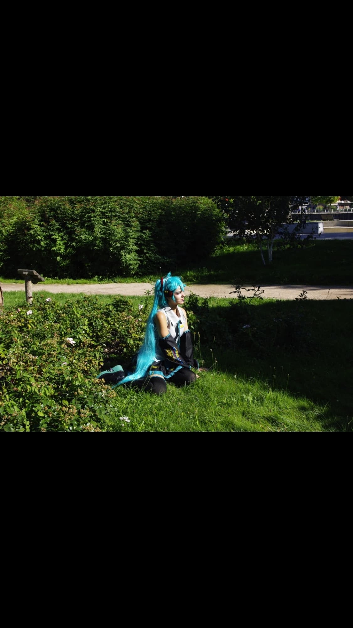 Miku - Photo 13