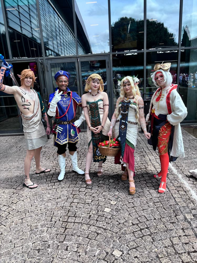 Link royal guard - Photo 5