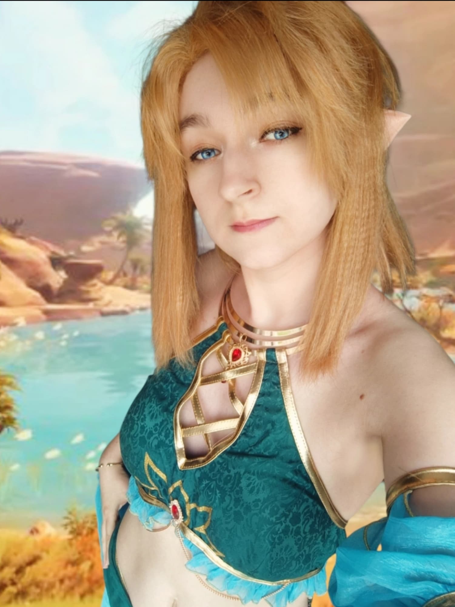 Link gerudo - Photo 6