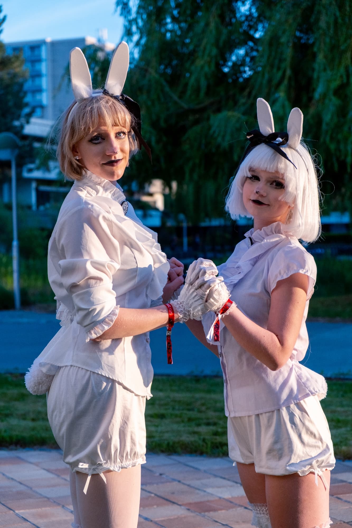 Bob a Bobek  - Photo 1