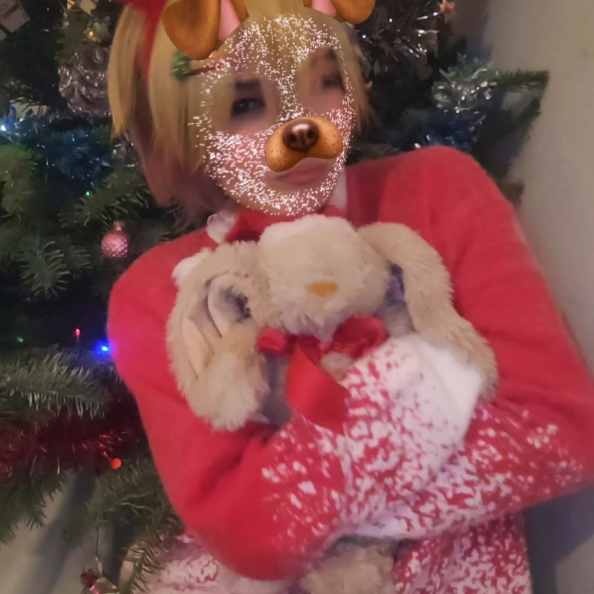 Tsukasa ( Chrismas)  - Photo 5