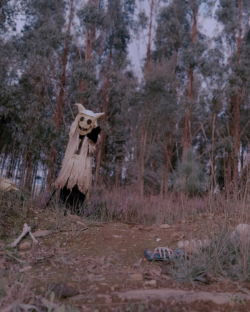 Halloween 2024 - Photo 9