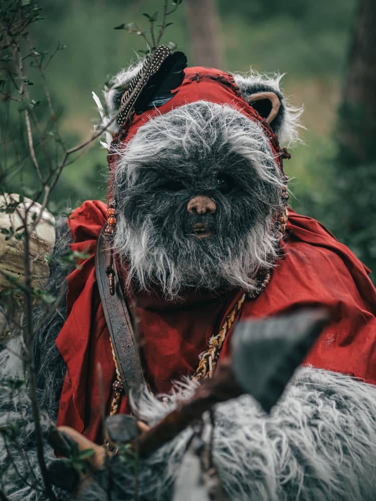 Forest Shooting - Photo 1