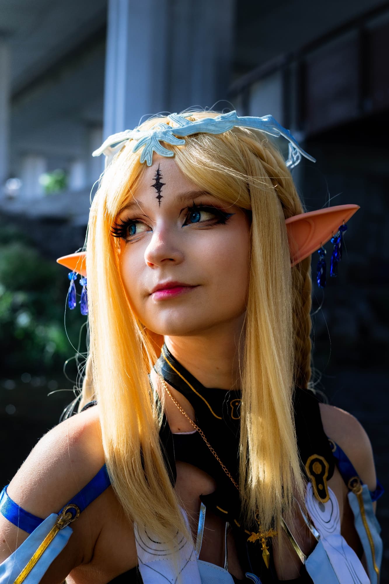 Cartethyia  - Photo 5