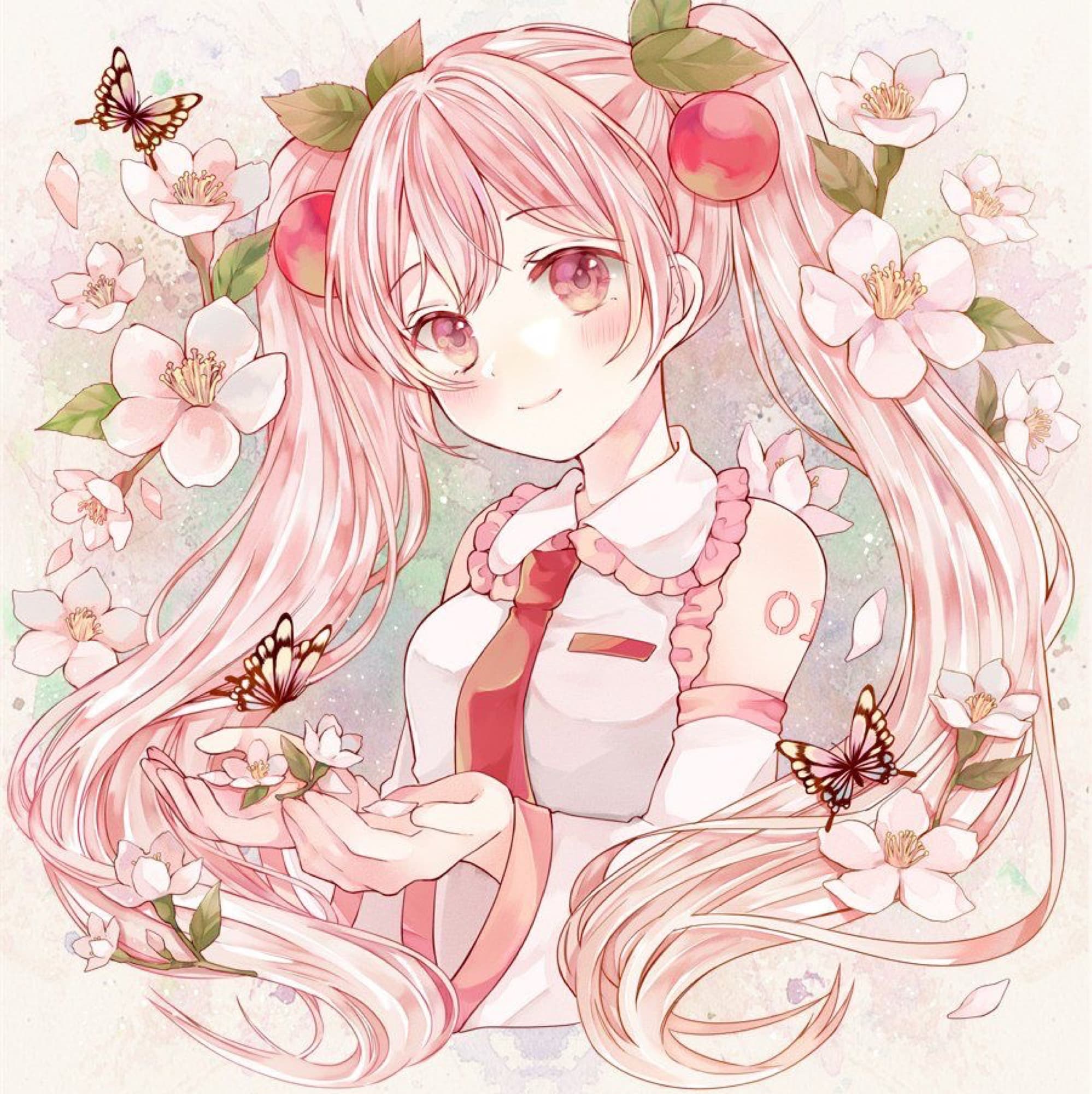 Miku sakura