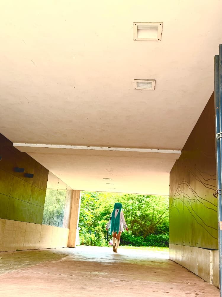 Hatsune Miku - Photo 25