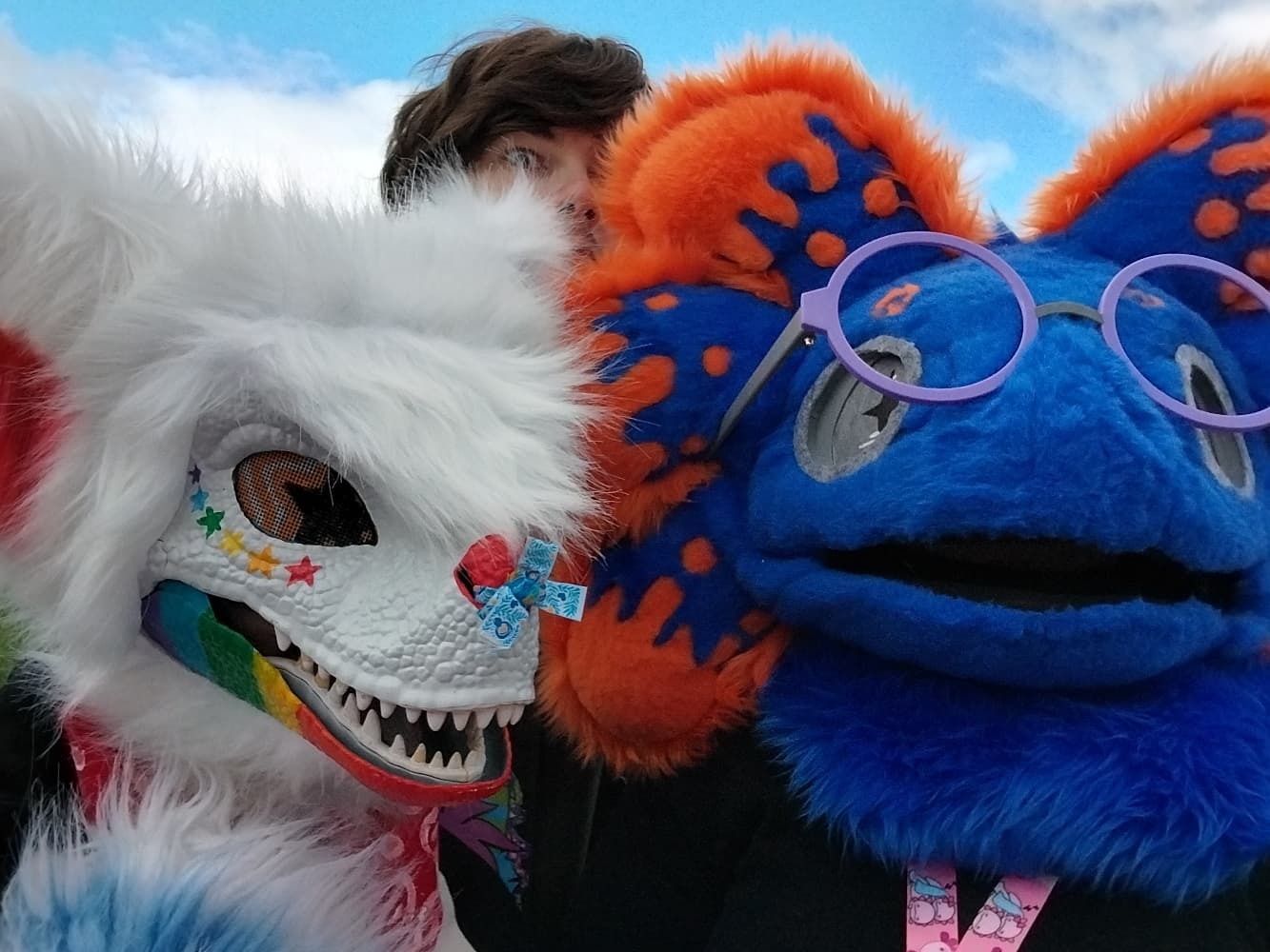 Stellar à japanante