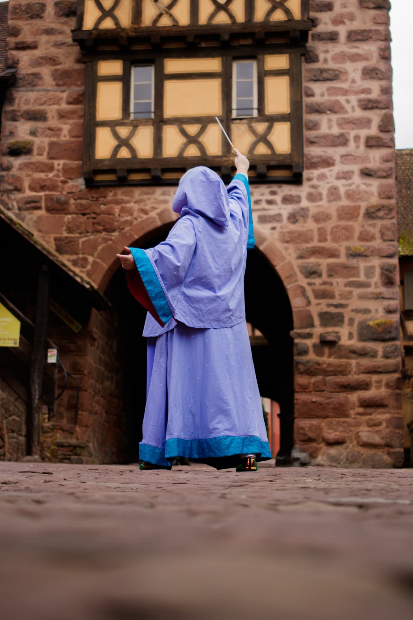 Marraine Cendrillon  - Photo 4