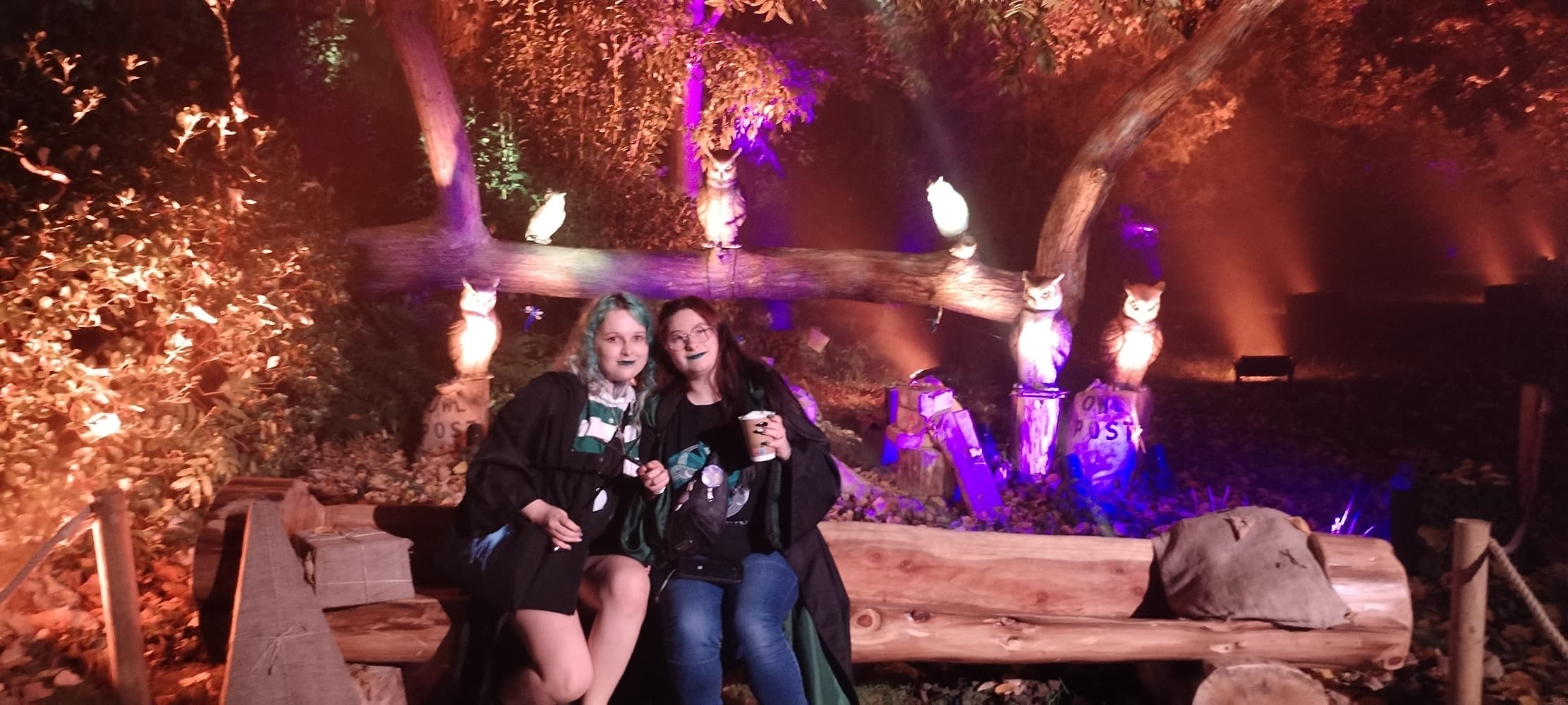 La forêt interdite - Photo 5