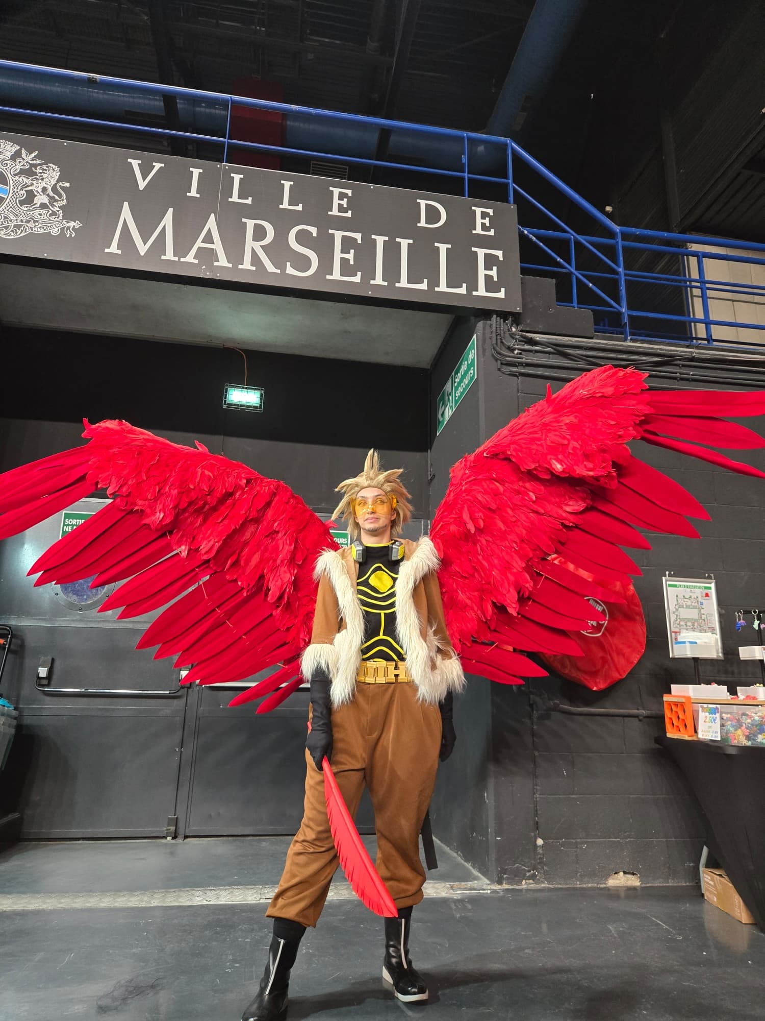 Hawks  - Photo 8