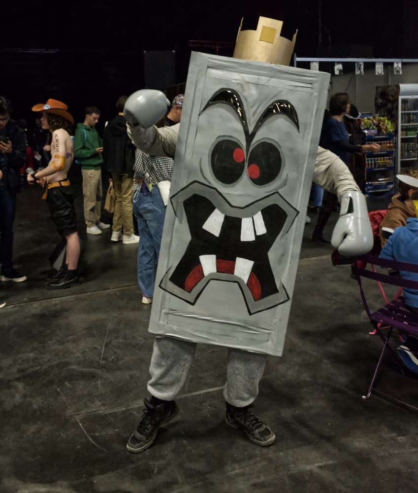 Roi thwomp - Photo 2