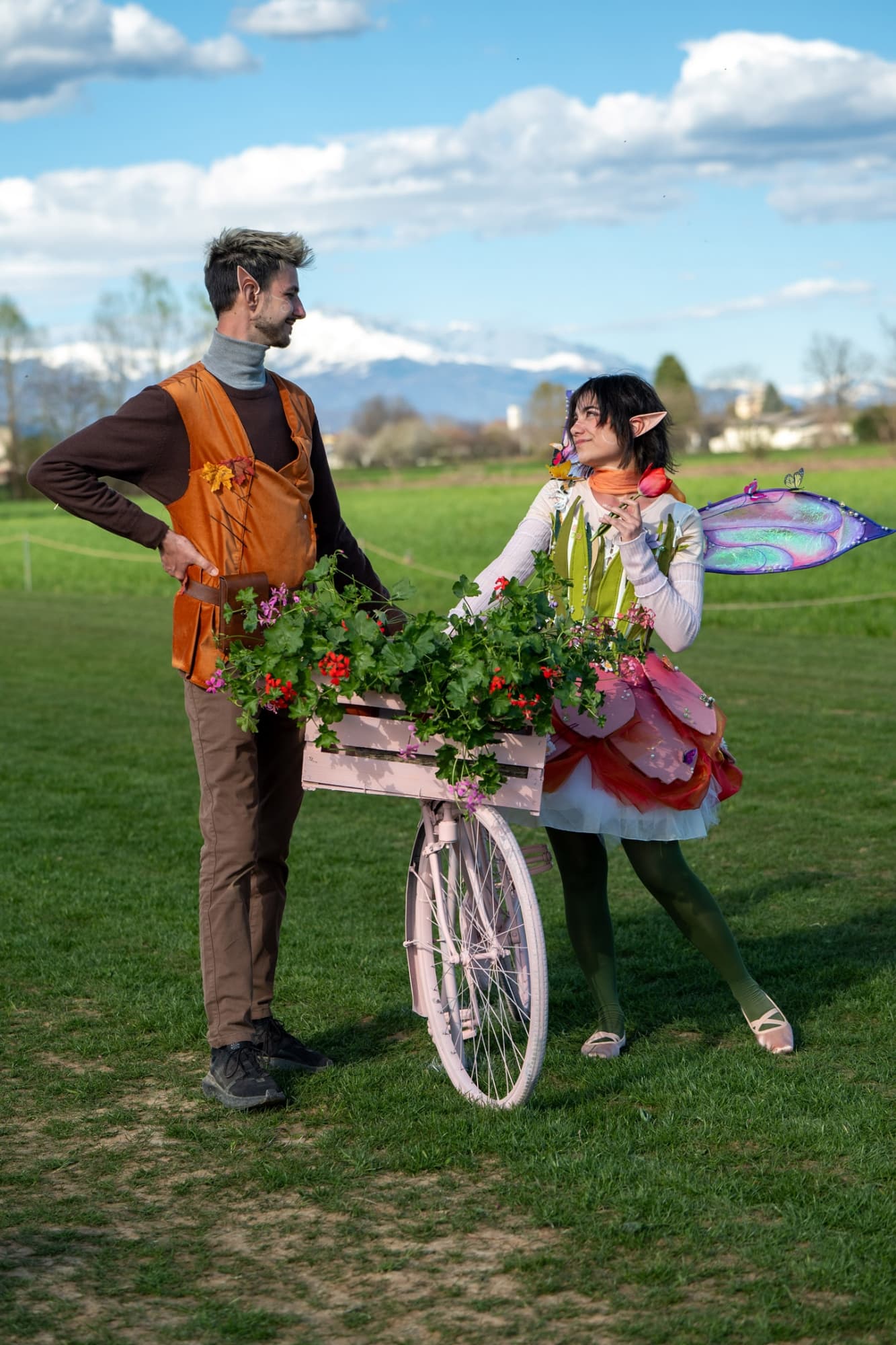 Lale the FairyTulip  - Photo 3