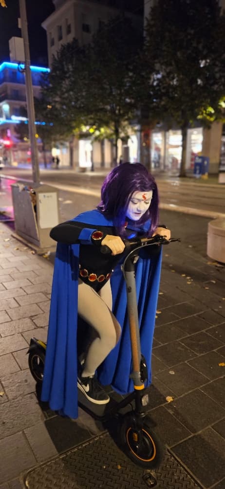 Halloween Raven - Photo 4