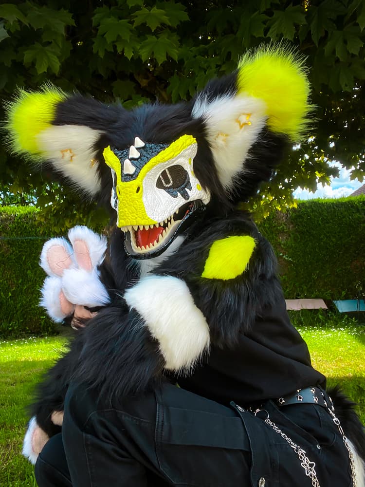 Photos Félix - Photo 7