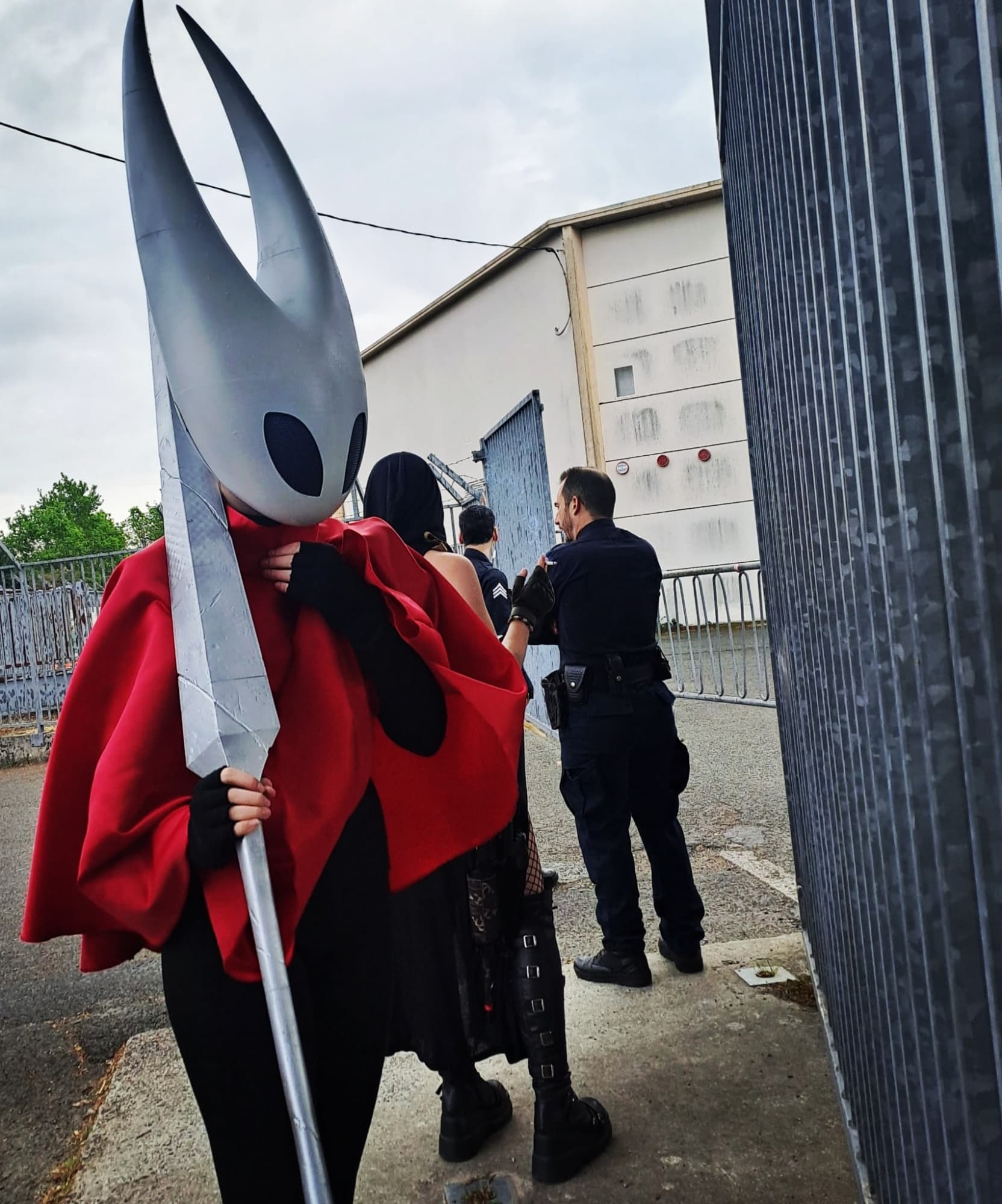 Hornet 🤺 - Photo 3