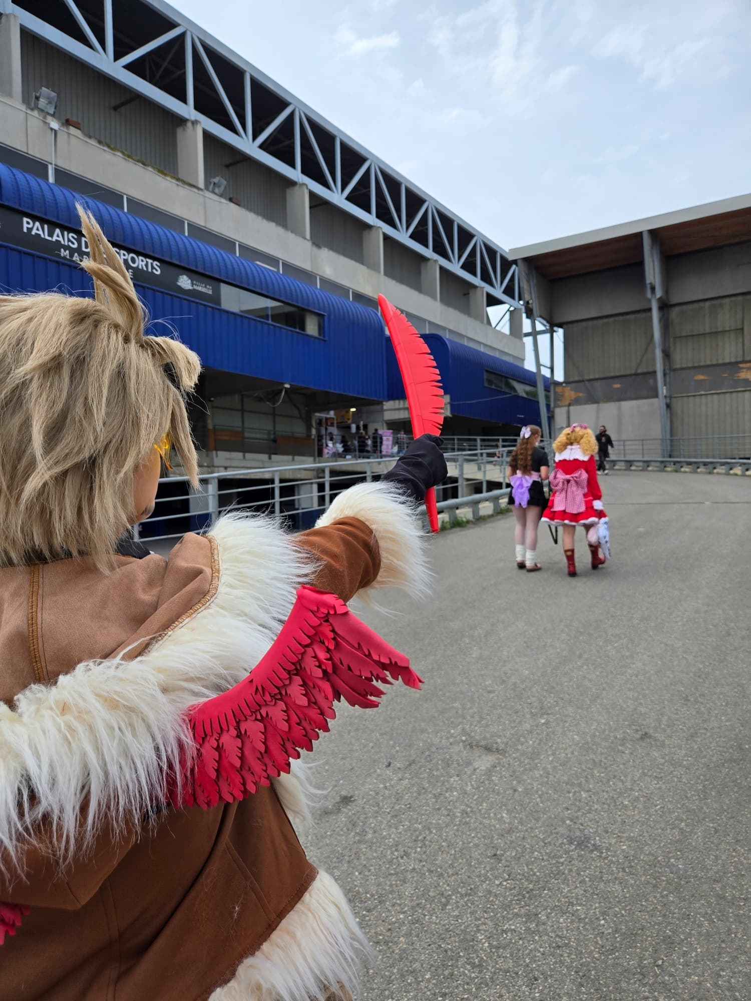 Hawks  - Photo 16