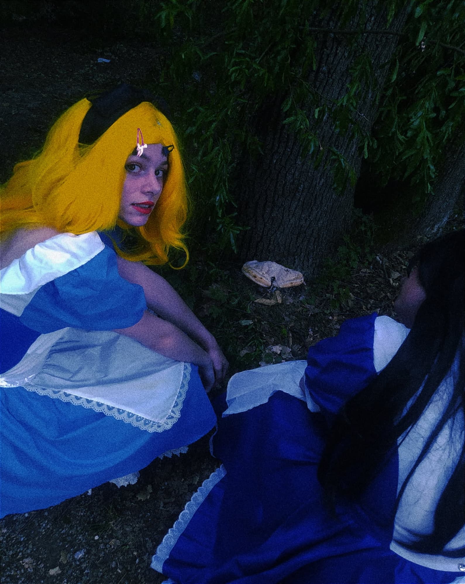 American mcgee alice - Photo 1