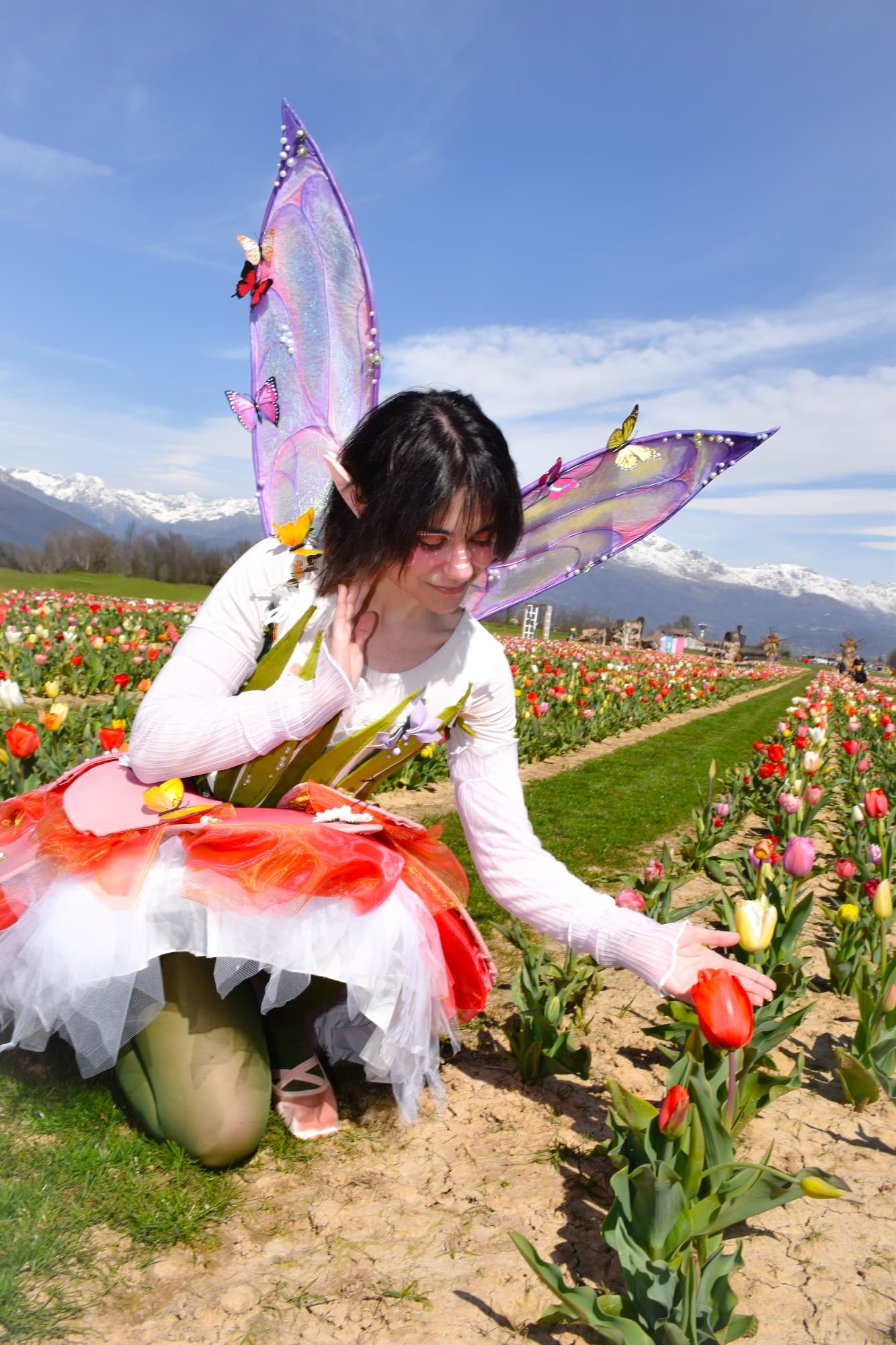 Lale the FairyTulip  - Photo 11