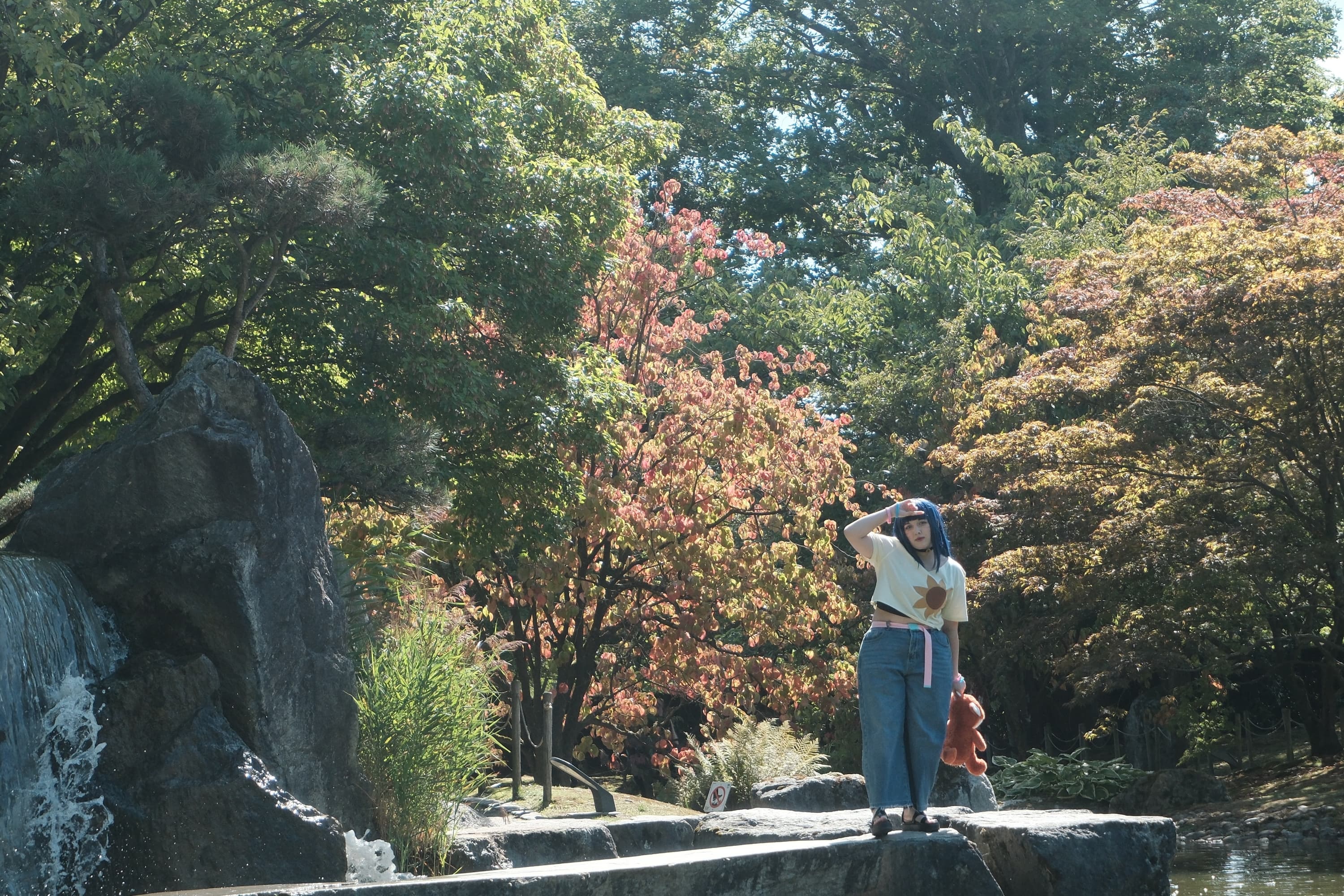 Himawari  - Photo 38