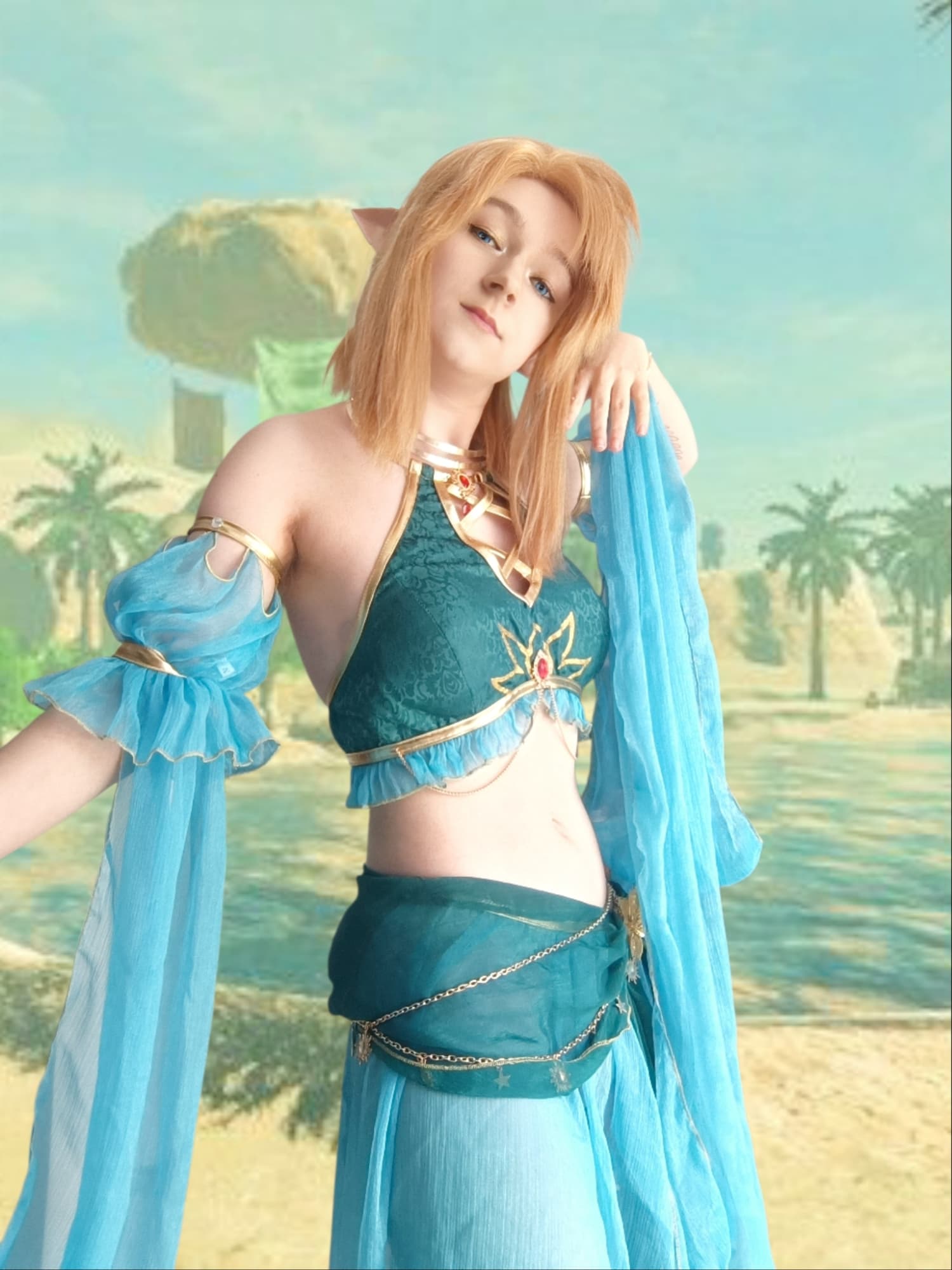 Link gerudo - Photo 4