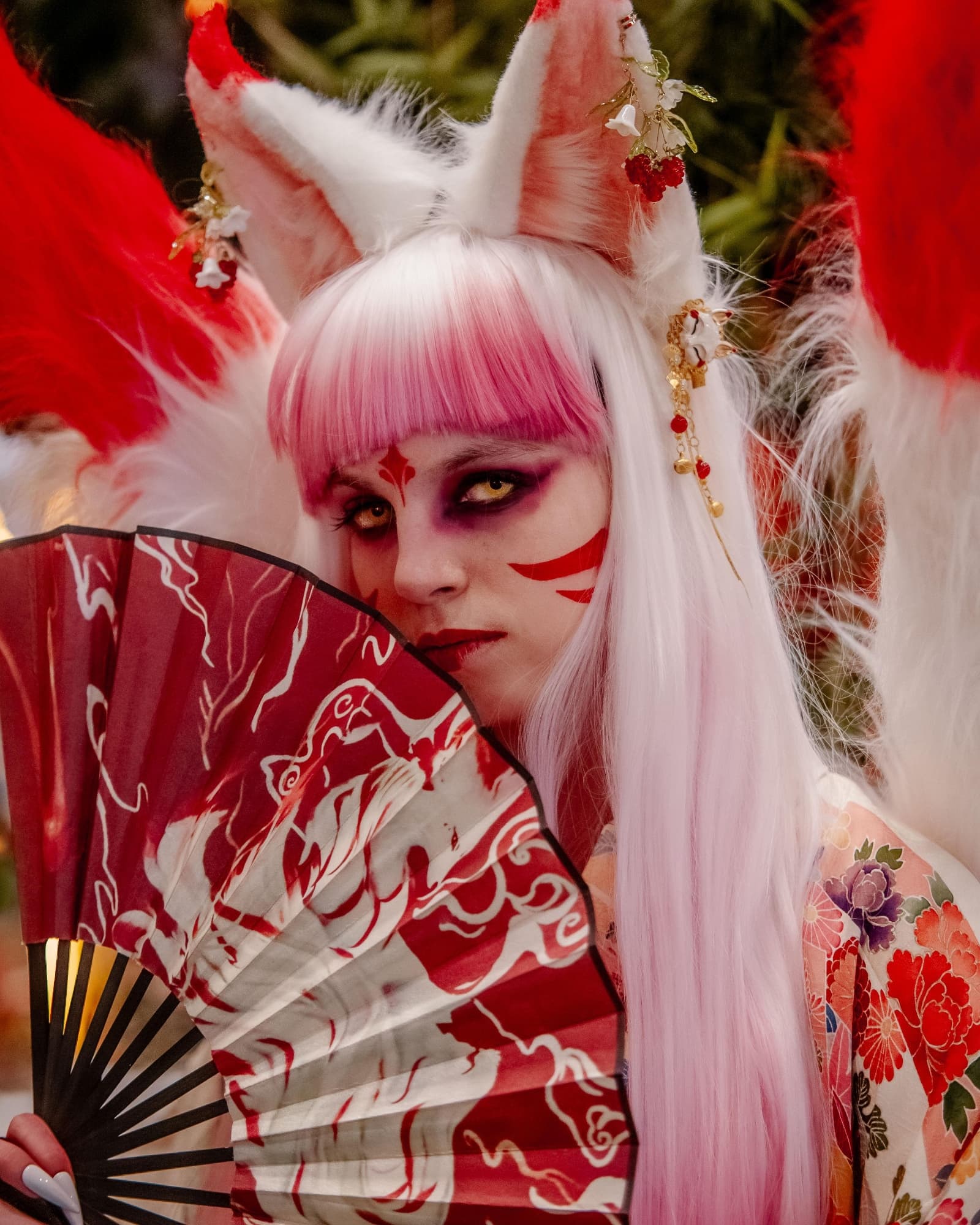 Kitsune - Photo 2