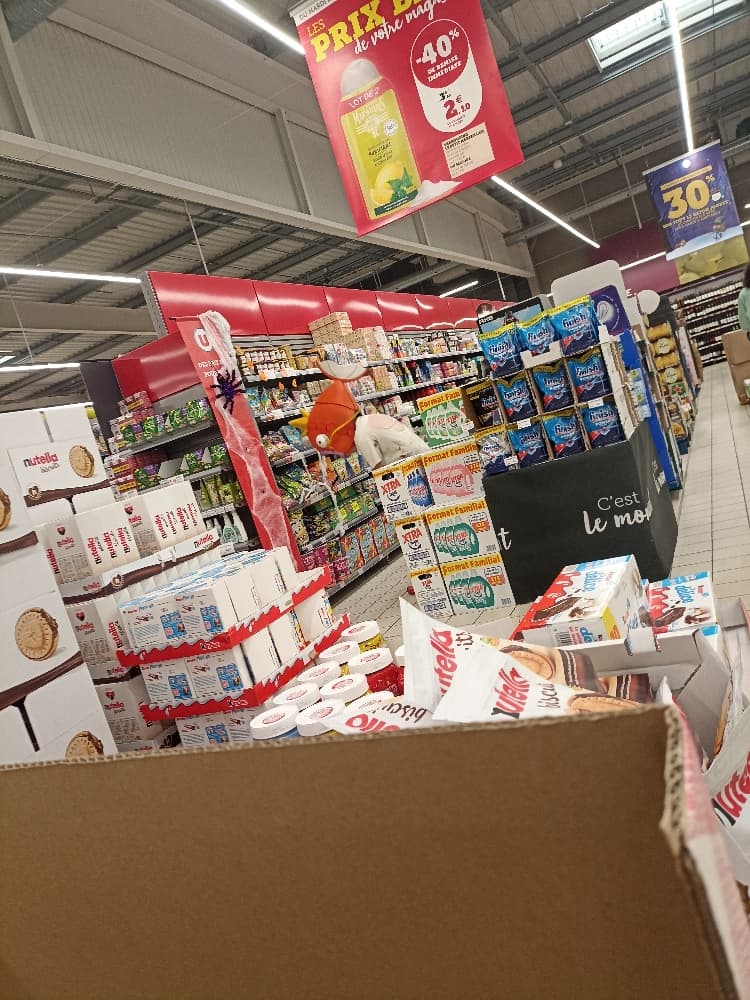 Magicarpe Zombie  - Photo 18