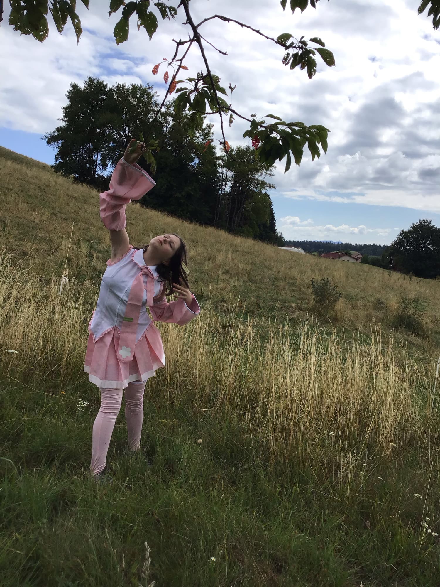 Sakura miku - Photo 2