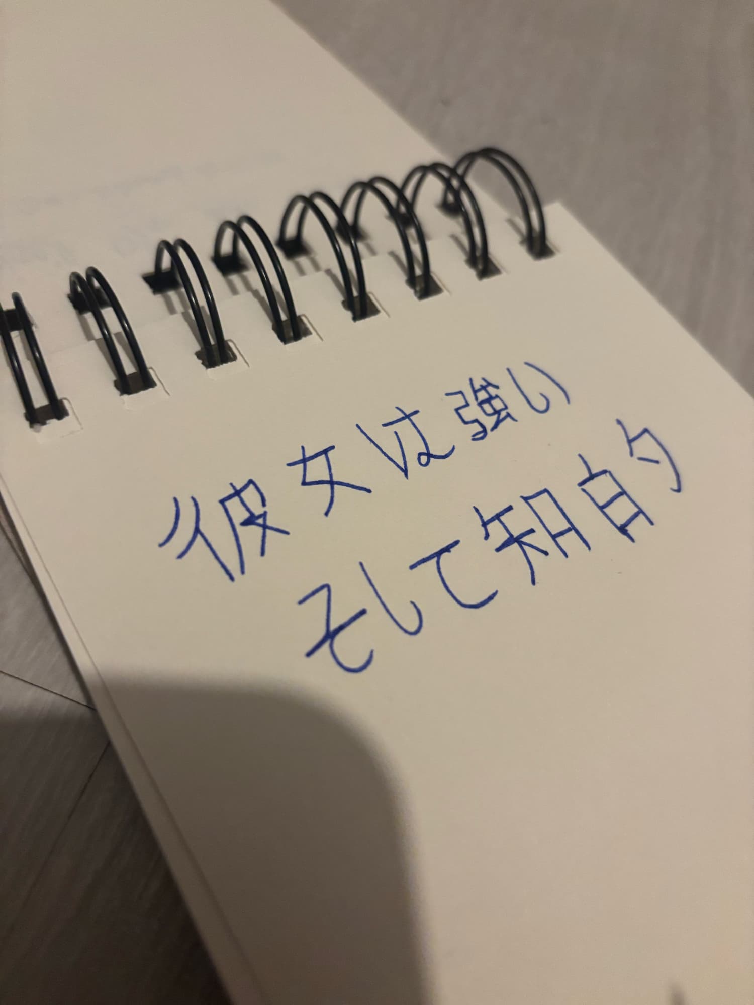 Akane (carnet)  - Photo 7