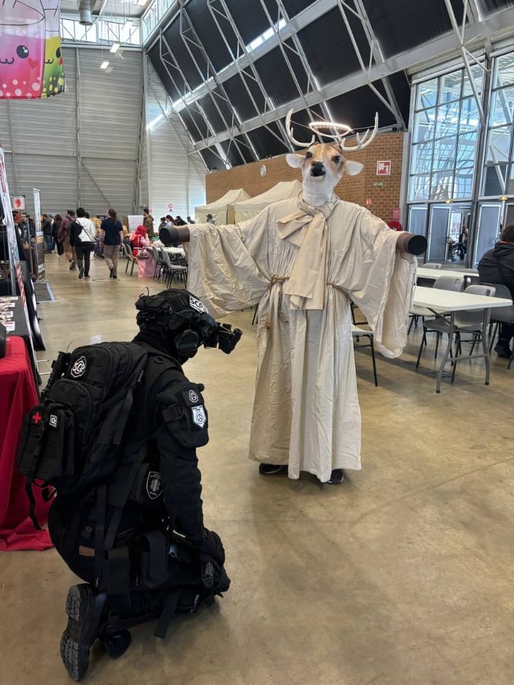 Photo chalon/saone - Photo 2