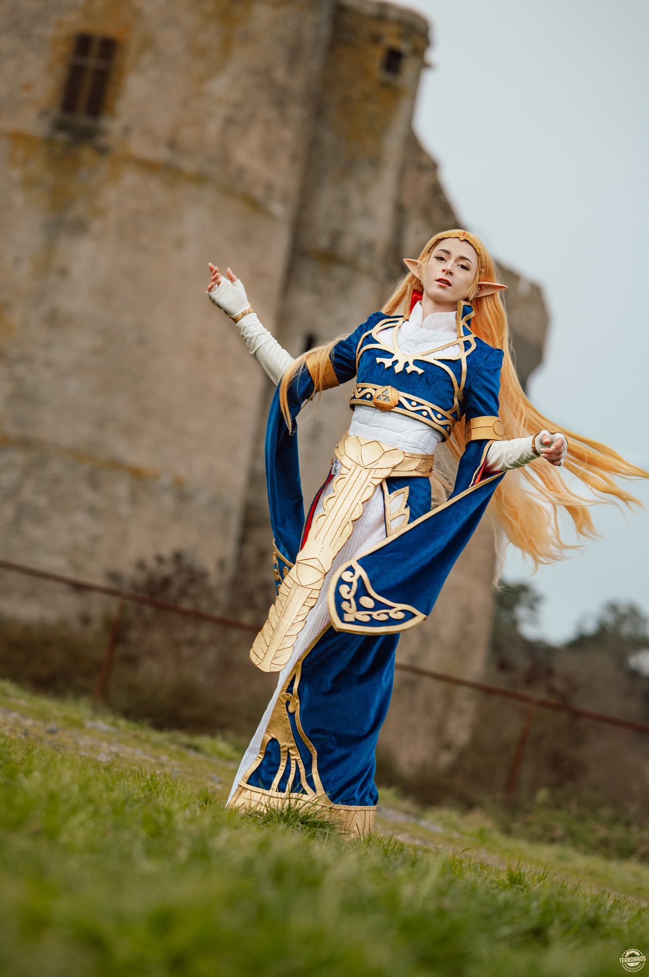 Zelda Royal Dress - Photo 4
