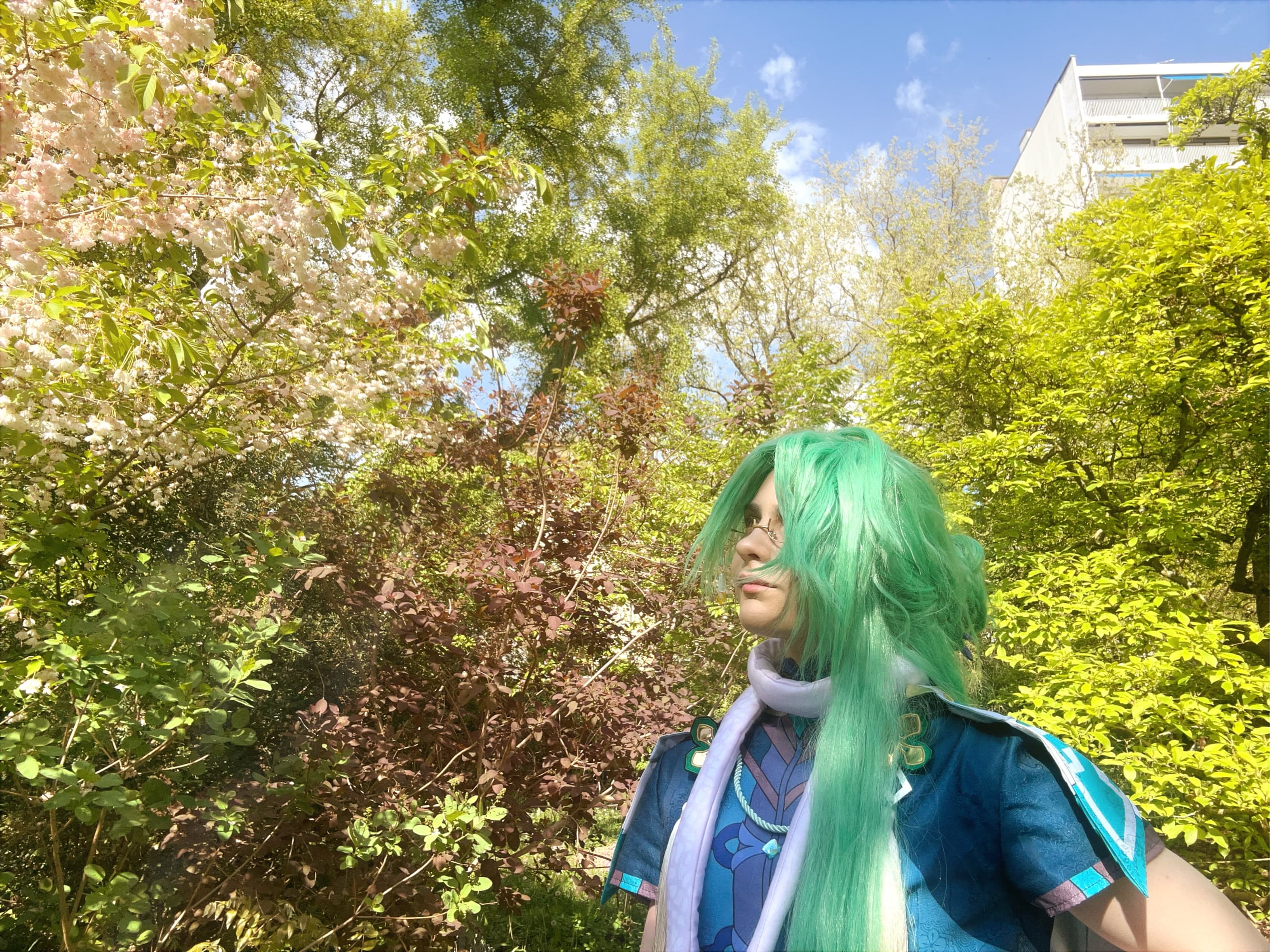 Baizhu  - Photo 6