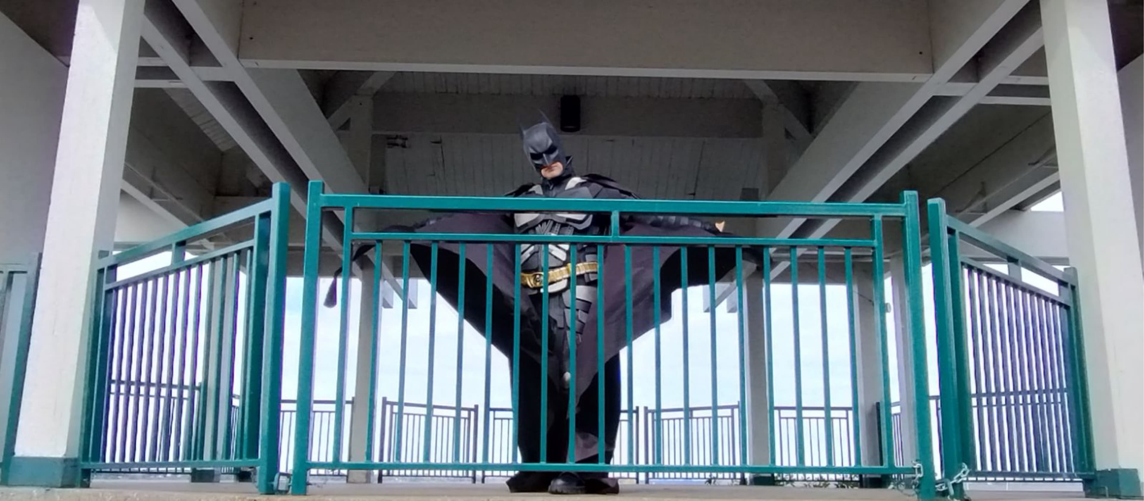 Batman TDK - Photo 27