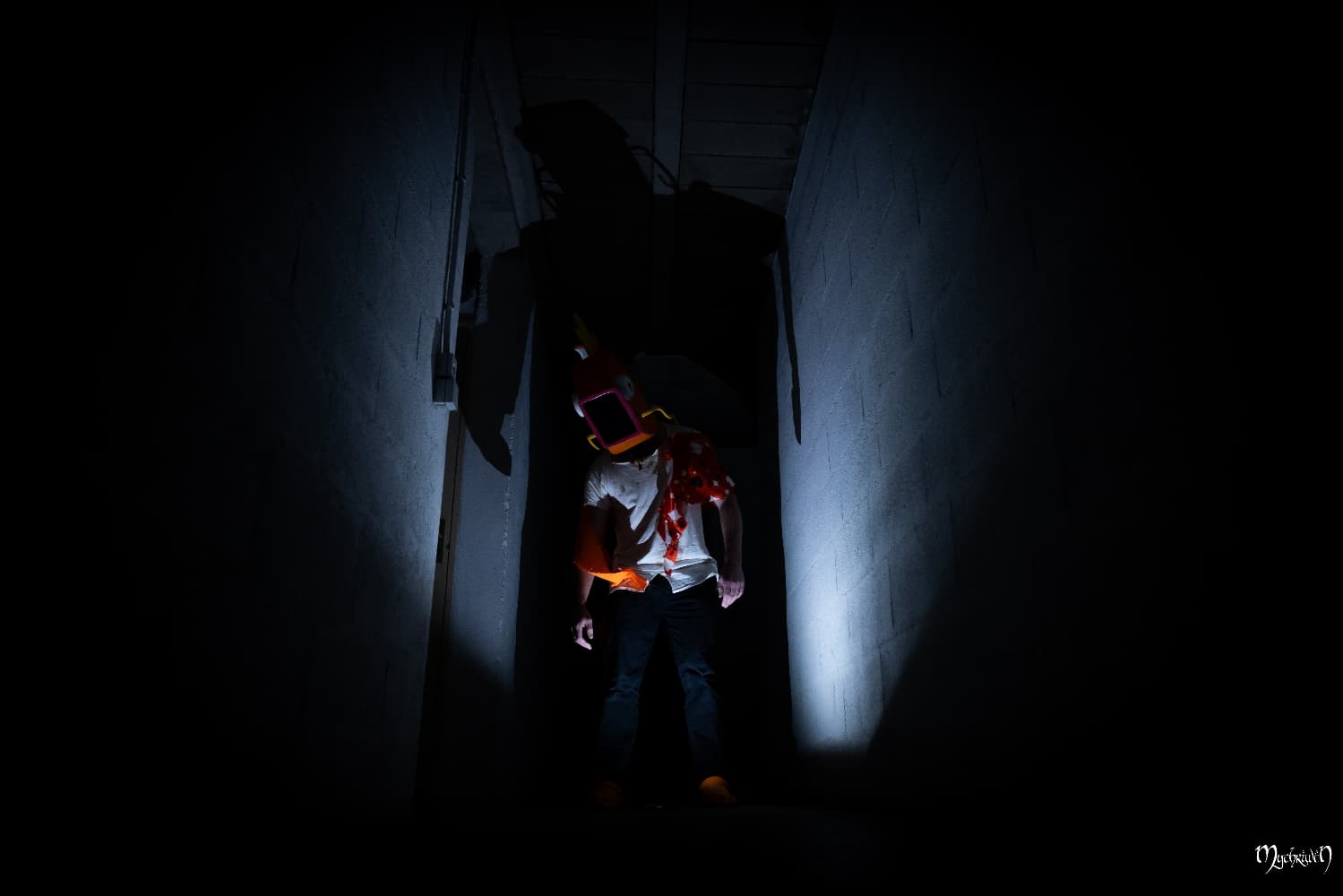 Gare à Pict'Asia - Photo 8