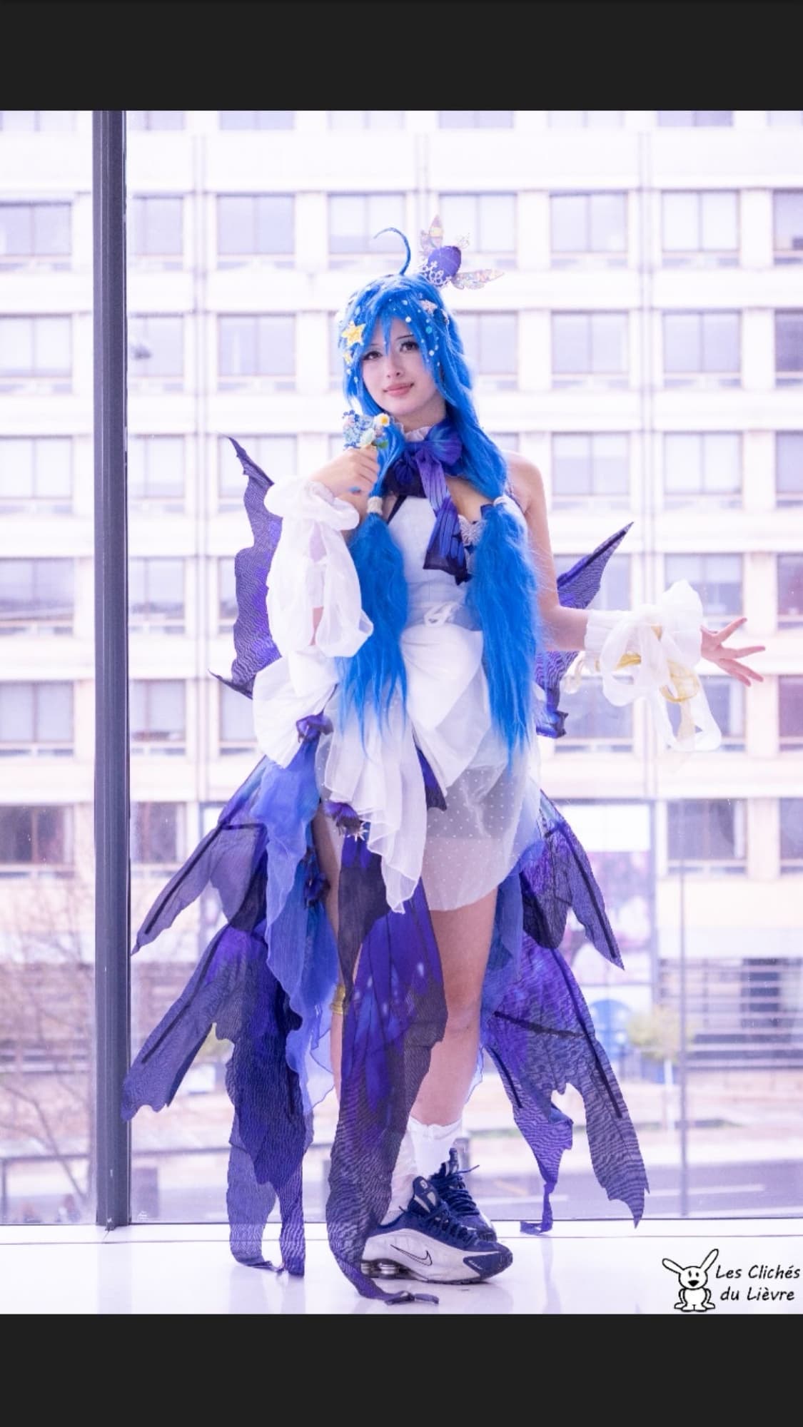 Miku butterfly - Photo 10