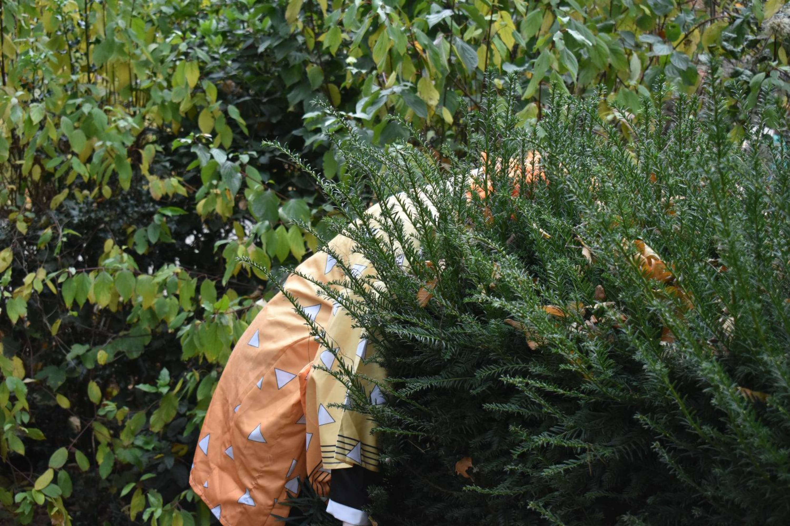 Zenitsu Agatsuma - Photo 17