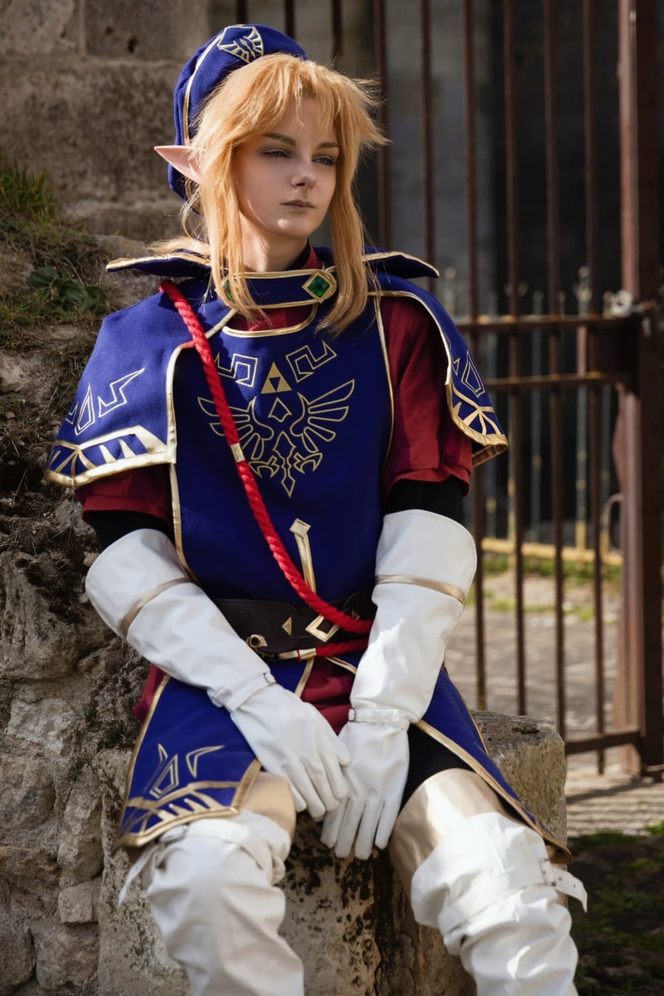 Link garde - Photo 1